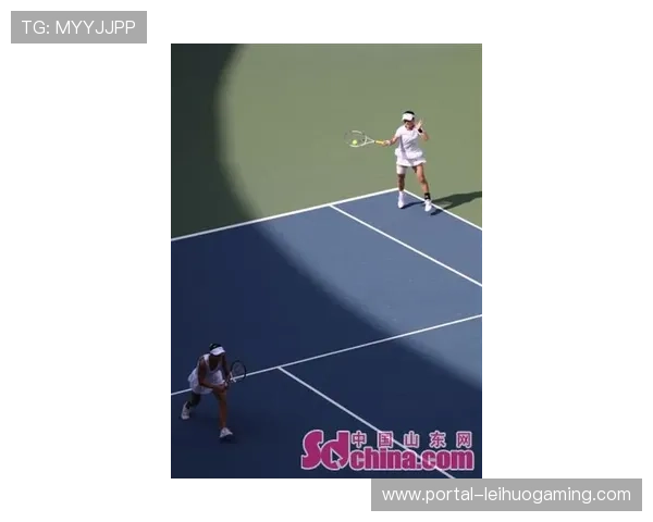 全运会网球赛飞蛾闯入场地，工作人员澄清非蟑螂