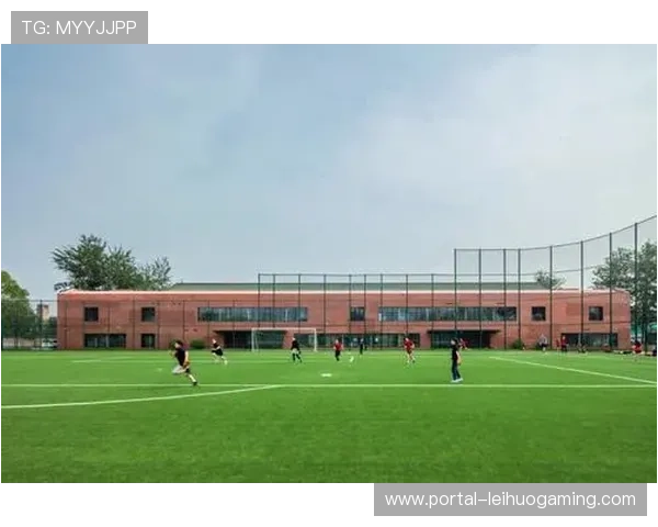 体育纪录片聚焦平民故事,引发社会共鸣 体育纪录片聚焦平民故事,引发社会共鸣